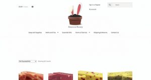 Botanical Bunny Vendor Review: Minimalism to the Extreme