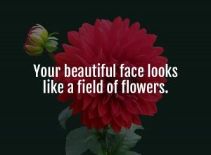Flower Pick up lines