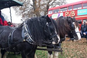 Magical Christmas markets in the New Forest
