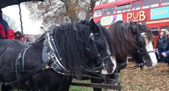 Magical Christmas markets in the New Forest