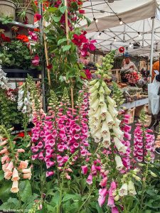 20 Best Sunday Markets in London (2023)