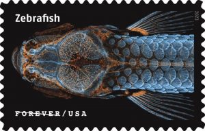 New US Postal Service Stamps Feature Beautiful Photos of Microscopic Life